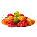 ghostpepper